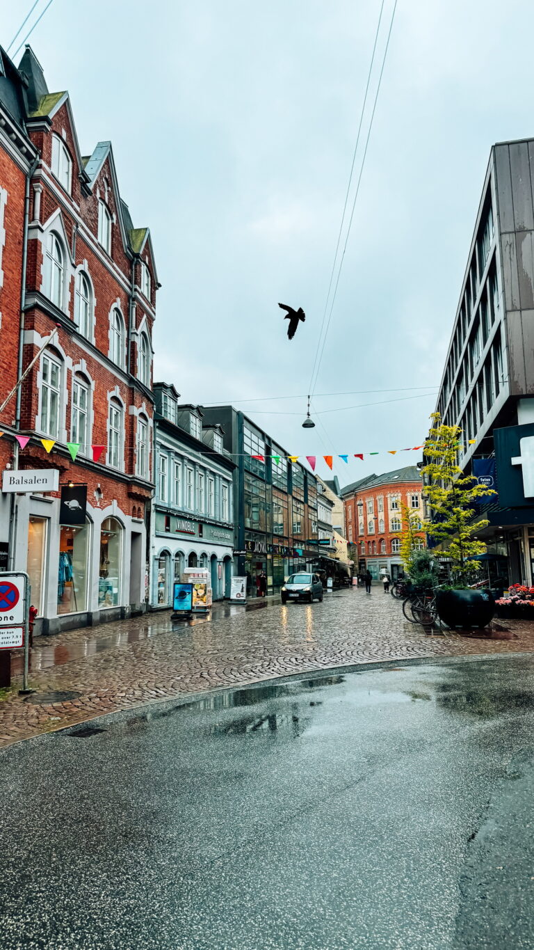 Historic buildings line a cobblestone street in Aarhus, Denmark.