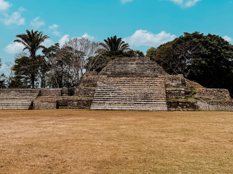 Ancient Mayan ruins in a sunny, open area with trees and a bright blue sky in the background.